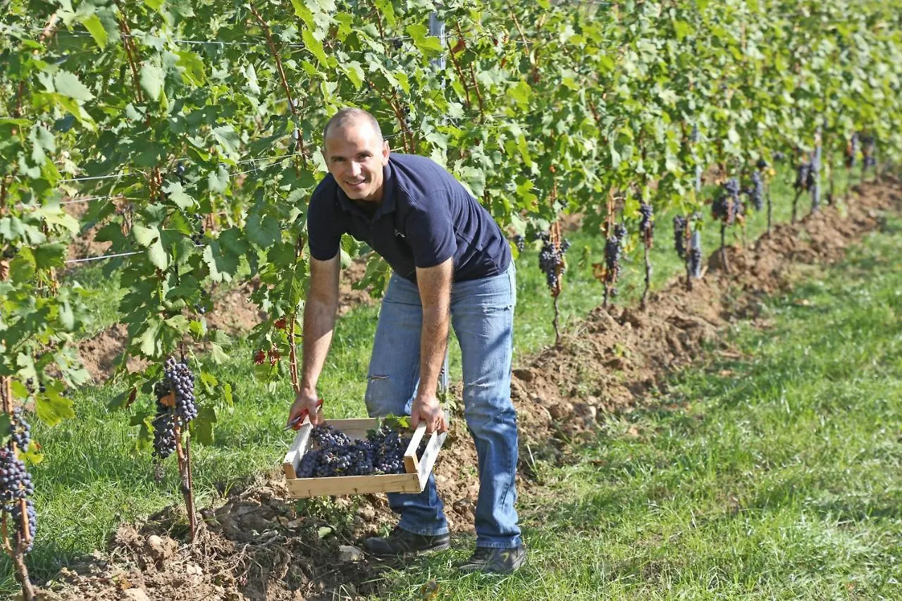 Agriturismo La Rocca Bardolino 0*,