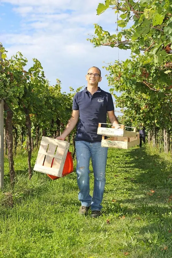 Agriturismo La Rocca Bardolino