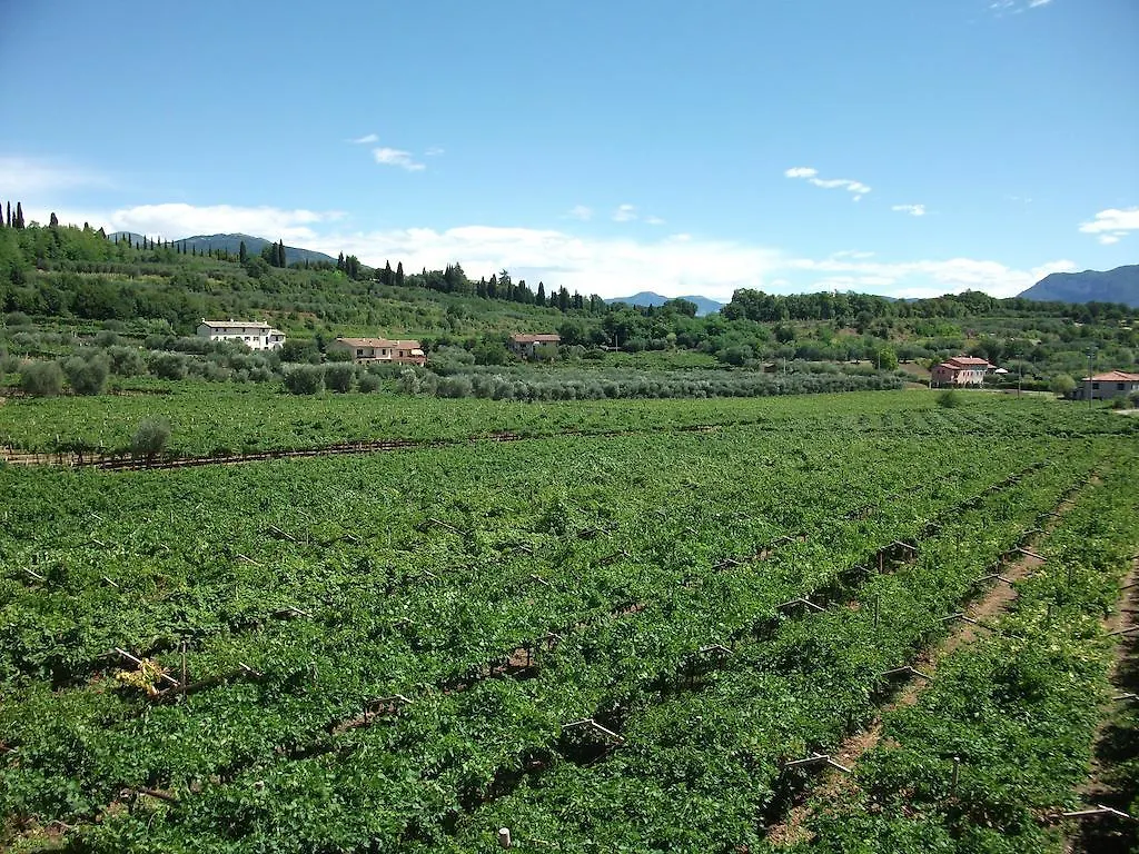 Agriturismo La Rocca Bardolino
