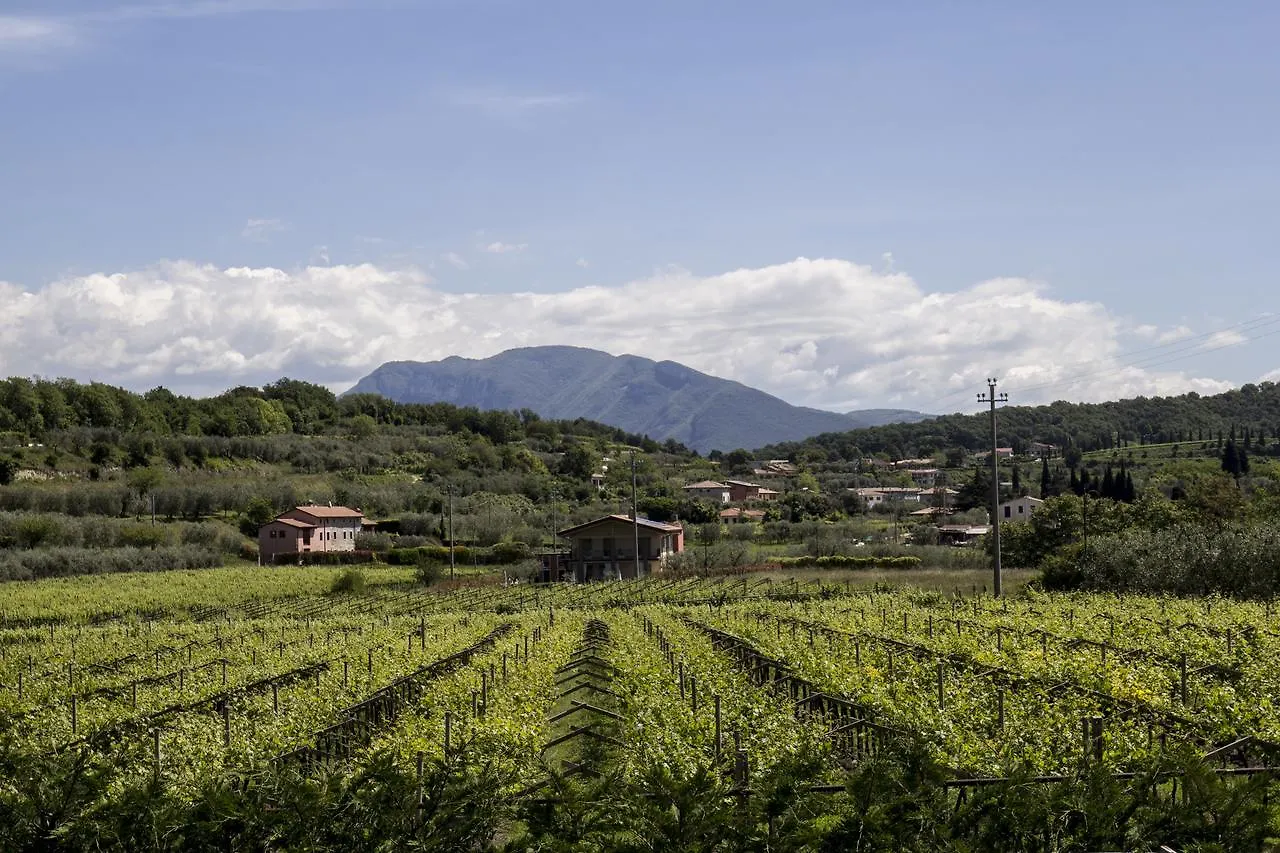 Agriturismo La Rocca Bardolino 0*,