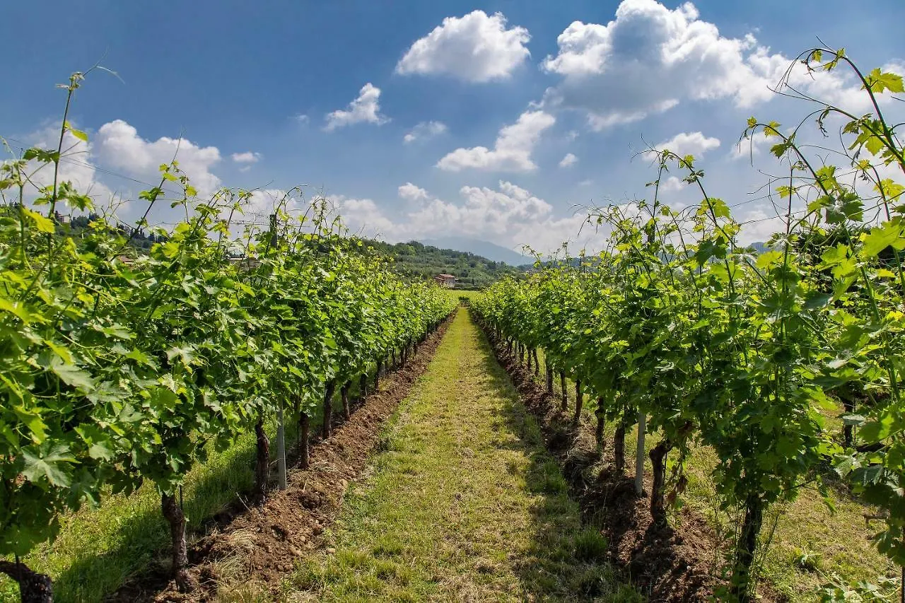 Agriturismo La Rocca Bardolino